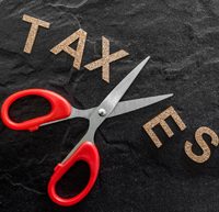 ruskcad-1617-emily-ln-overtaxed-by-20-percent